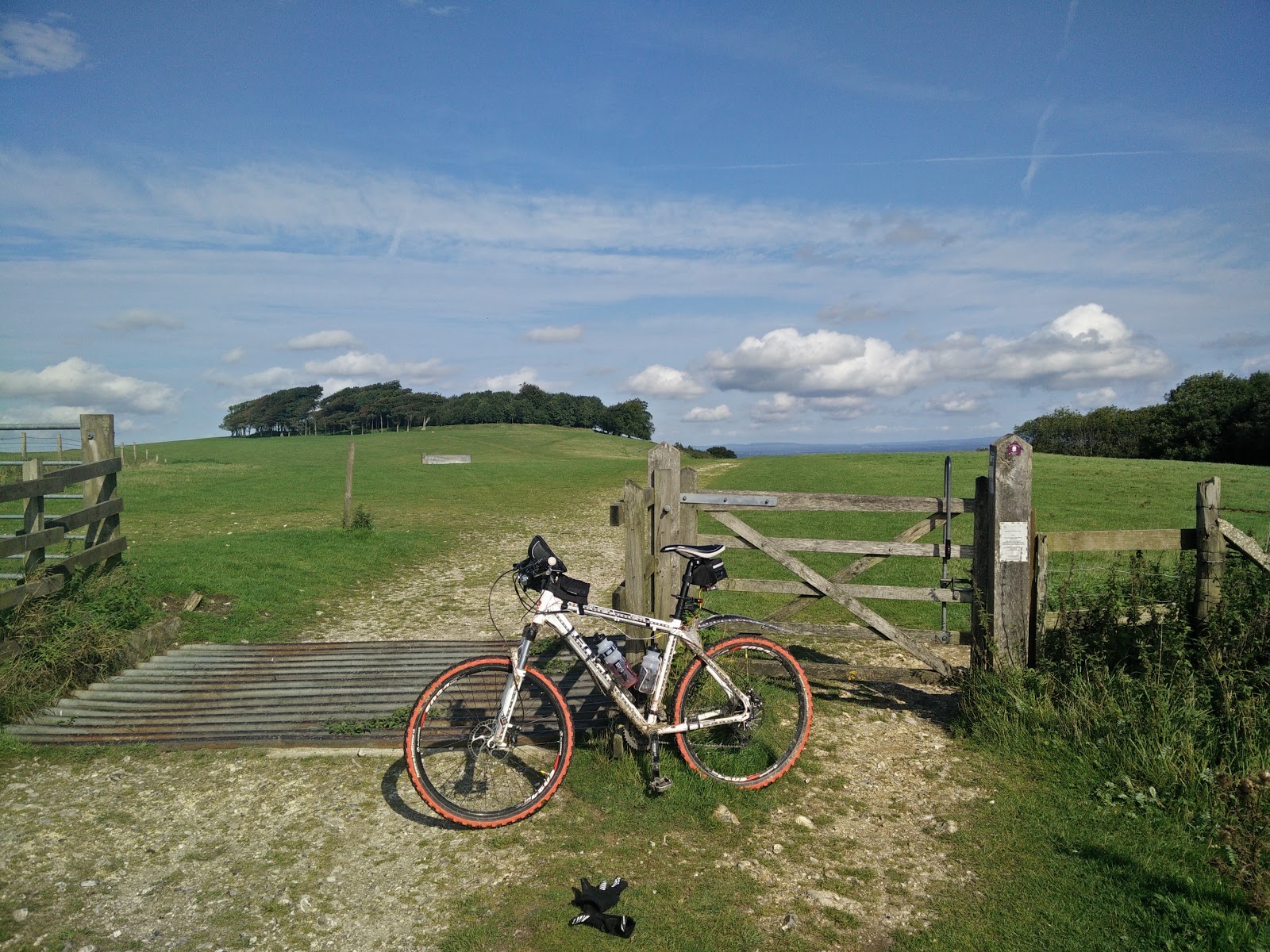 Looking back on Chanctonbury Ring
