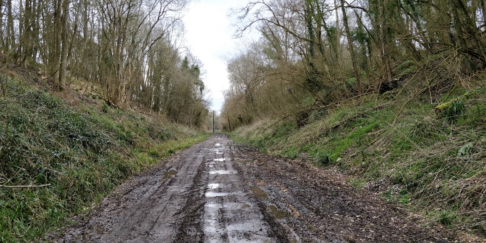 Looking east towards Horsted Keynes