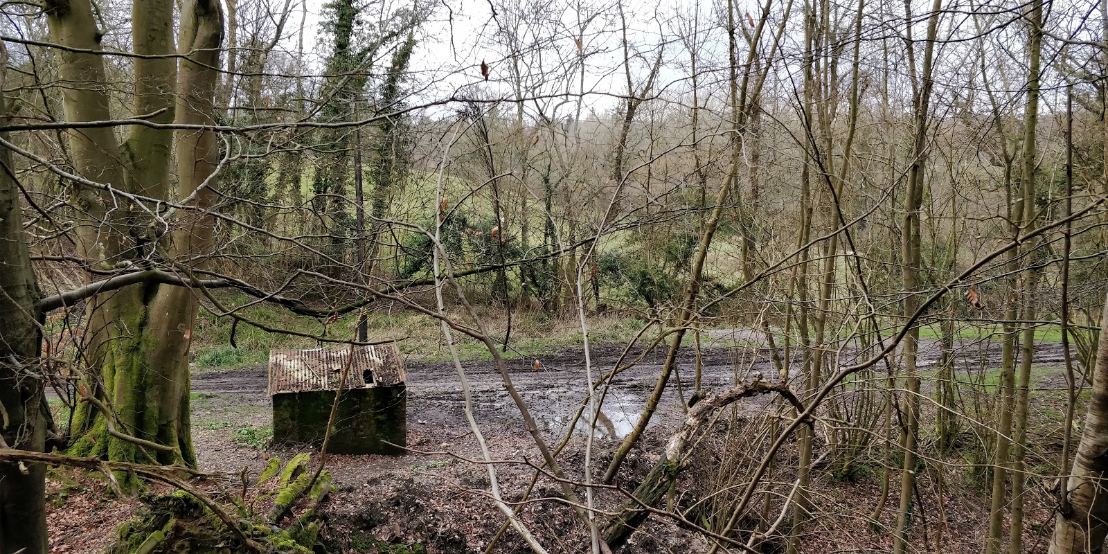 First sight of the track bed to the east of Lindfield Road
