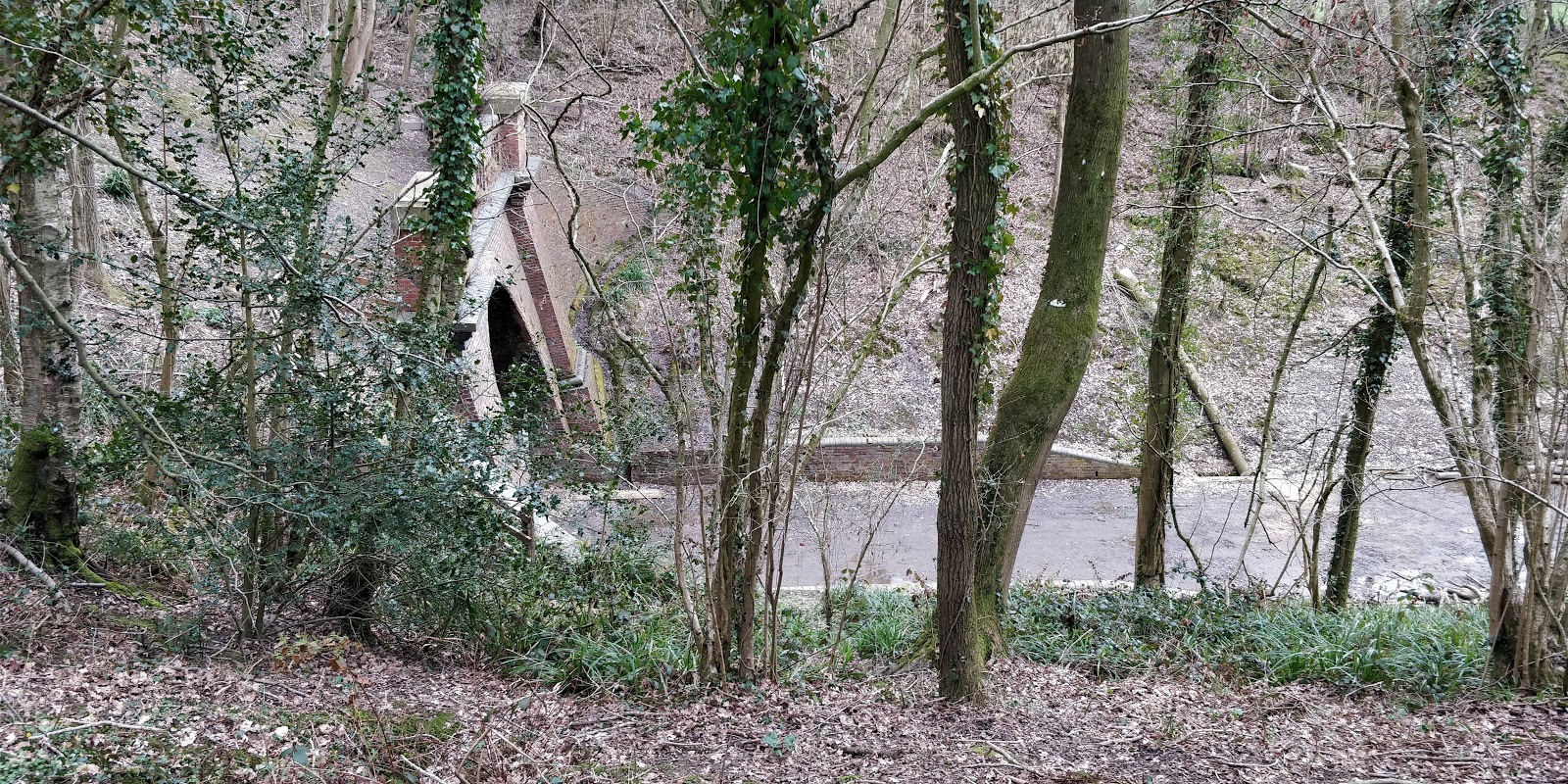First sight of the western portal of the Lywood tunnel