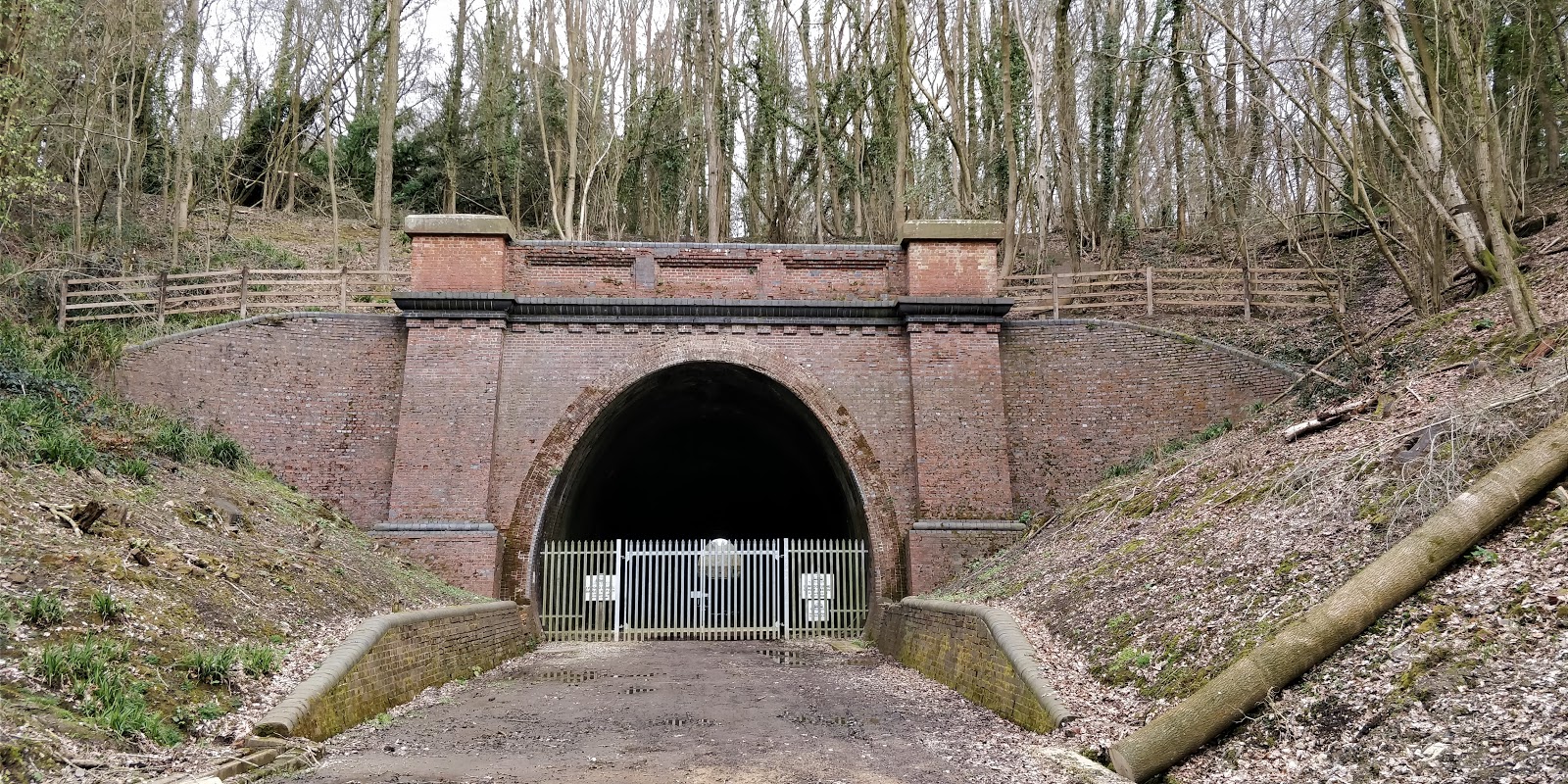 Lywood Tunnel, Western Portal, complete with gates